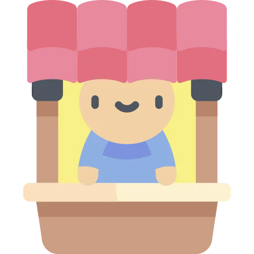 Window icon