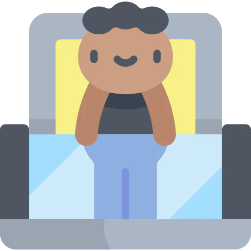 Window icon