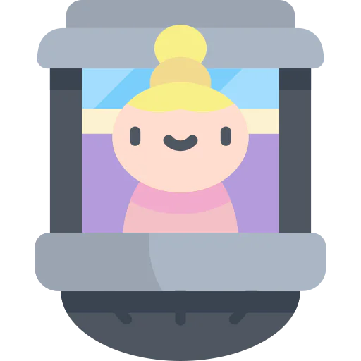 Window icon