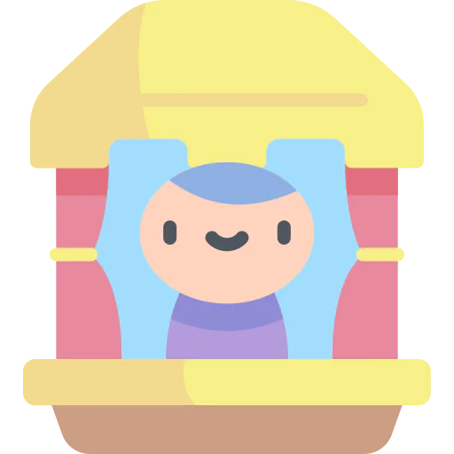Window icon