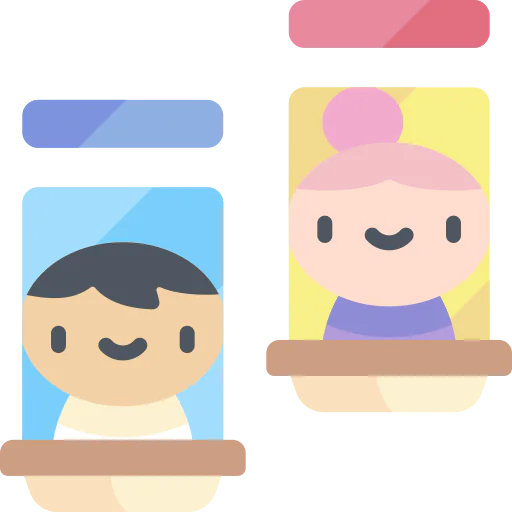 Window icon