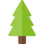 Pine icon 64x64