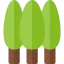 Forest icon 64x64