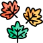 Leaf icon 64x64
