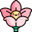 Flower icon 64x64
