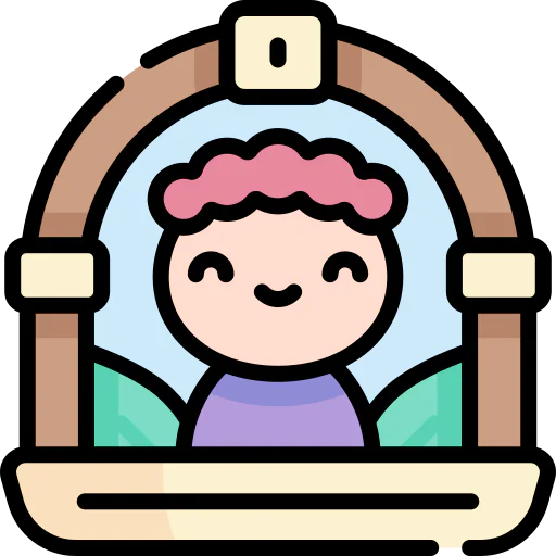 Window icon