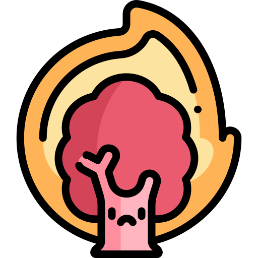 Fire icon