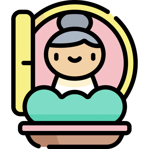 Window icon