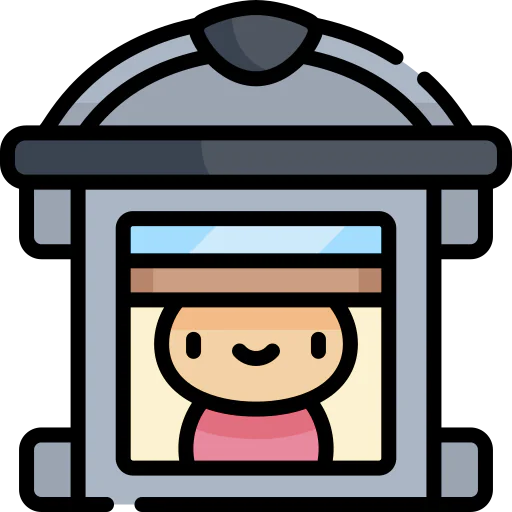 Window icon