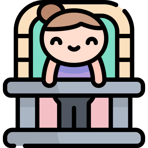 Window icon