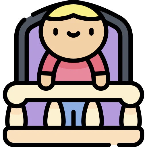 Window icon