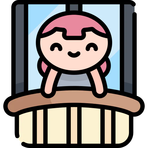 Window icon