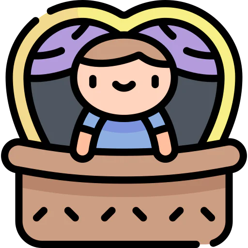 Window icon