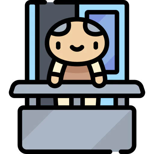 Window icon