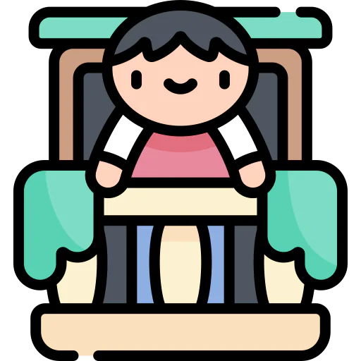 Window icon