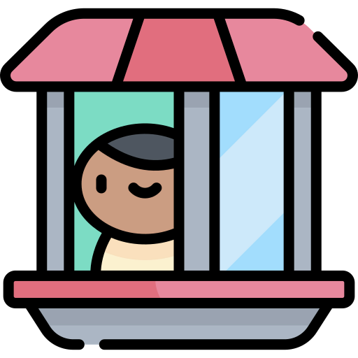 Window icon