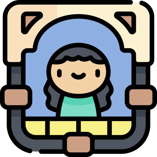 Window icon