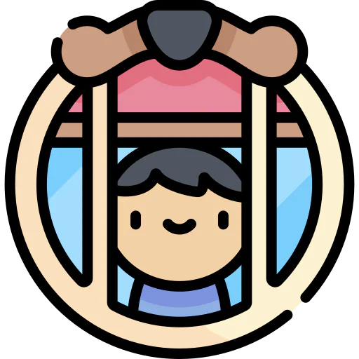 Window icon