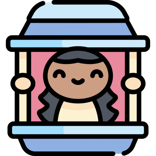 Window icon