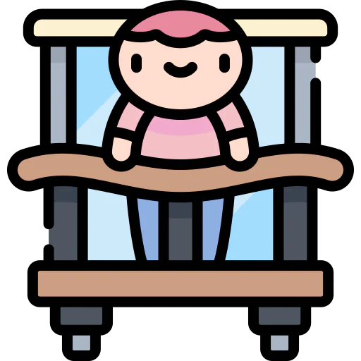 Window icon