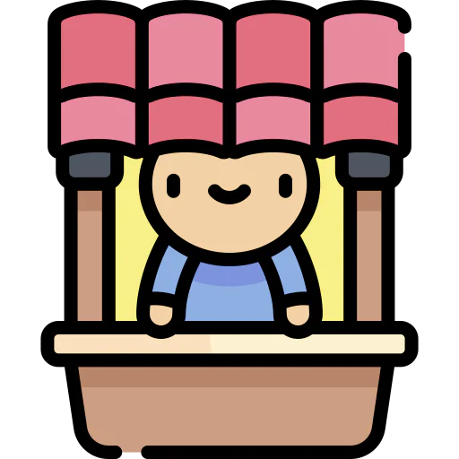 Window icon
