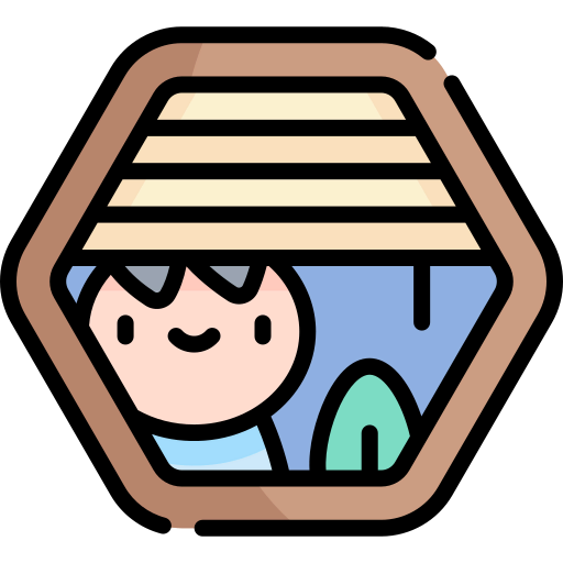 Window icon
