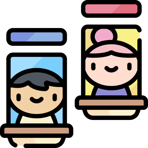 Window icon