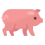 Pig icon 64x64
