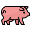 Pig icon 64x64