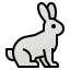 Rabbit icon 64x64