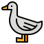 Duck icon 64x64
