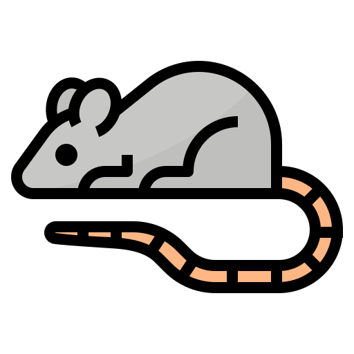 Mouse icon