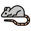 Mouse icon 64x64