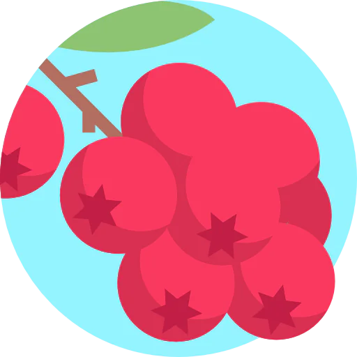 Berries icon