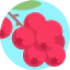 Berries Ikona 64x64