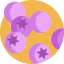 Blueberry icon 64x64