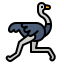 Ostrich Symbol 64x64