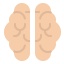 Brain icon 64x64