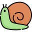 Snail icon 64x64