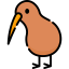 Kiwi icon 64x64