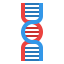 Dna structure icon 64x64