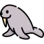 Walrus icon 64x64