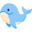 Whale icon 64x64