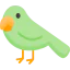 Parrot icon 64x64