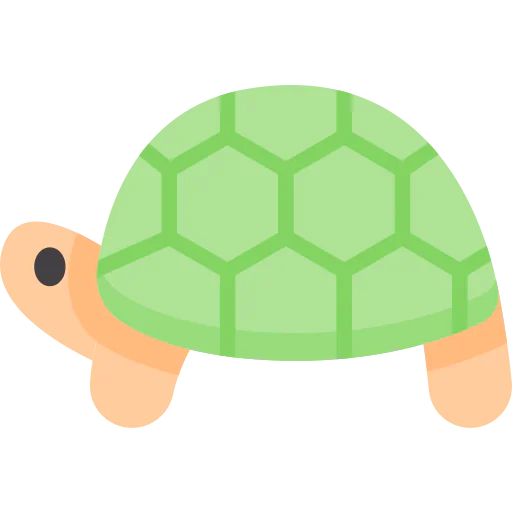 Turtle icon