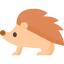 Hedgehog icon 64x64