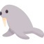 Walrus icon 64x64