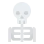 Skeleton icon 64x64