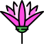 Lotus icon 64x64