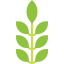 Herbs icon 64x64